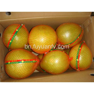 গরম বিক্রয় সুস্বাদু তাজা pomelo